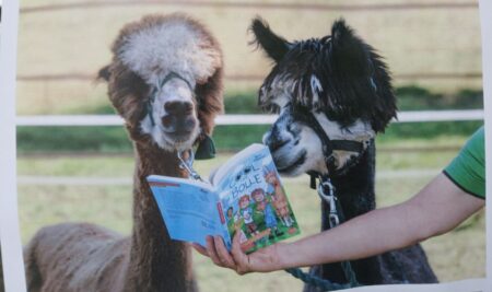 Eine Stunde vorlesen: Die ASS feiert den „Welttag des Buches“ mit einer Aktion